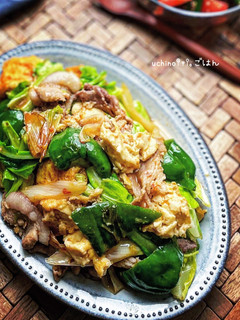 厚揚げたっぷり♪お肉100gの回鍋肉-レシピのメイン写真