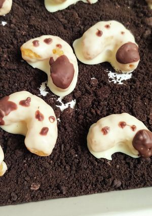 虫嫌いには注意！幼虫チョコ-レシピのメイン写真