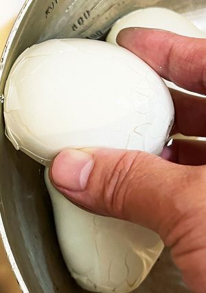 茹でたて玉子をズルんと剥くよ-レシピのメイン写真