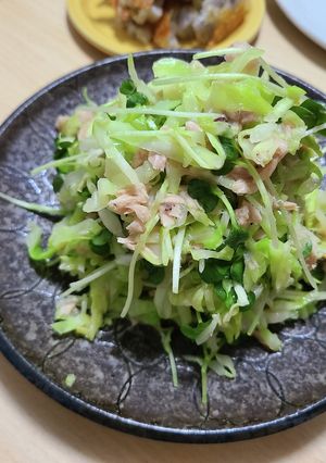 キャベツとかいわれとツナのサラダ-レシピのメイン写真