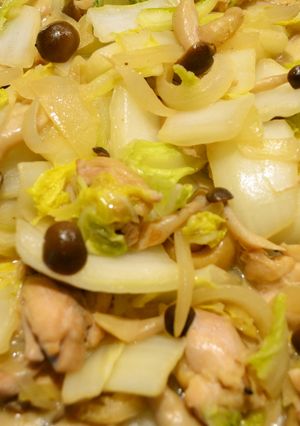(23/02/13)鶏と白菜の炒め-レシピのメイン写真