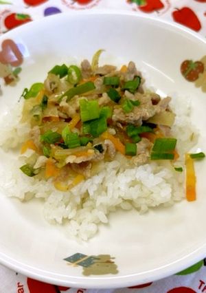 プルコギ丼-レシピのメイン写真