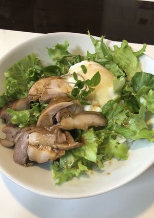 鶏照りの次の日は・・ 鶏照りde『丼』☆-レシピのメイン写真