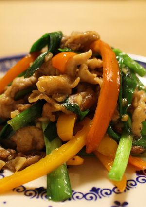 カラフル肉野菜炒め-レシピのメイン写真