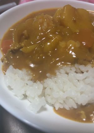 米粉使用☆うちのカレー-レシピのメイン写真