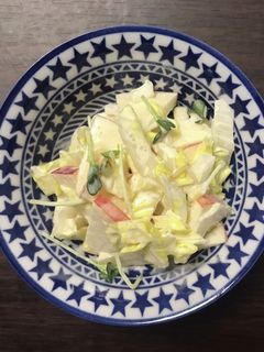 【甘塩っぱい♪】冬にりんごと白菜のサラダ-レシピのメイン写真