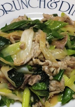 豚肉とネギのさっぱり紫蘇炒め-レシピのメイン写真
