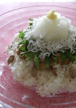 ❀美味しい♫美味しい♬　しらす丼❀-レシピのメイン写真