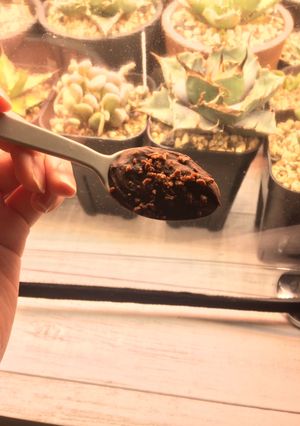 暖かいドリンクで溶かしてスプーンチョコ-レシピのメイン写真