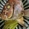 鯛のアラ炊き