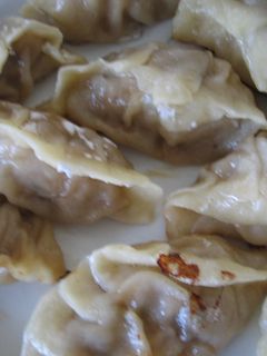 手作り餃子(点心)-レシピのメイン写真