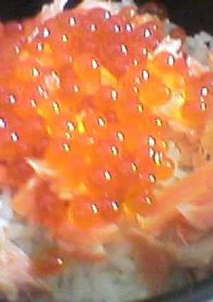 鮭といくらの親子丼☆-レシピのメイン写真