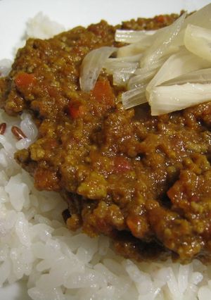 かんたん*ドライカレー-レシピのメイン写真