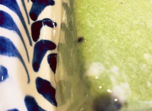 砂糖控えめ抹茶と甘酒の豆乳プリン(覚書)-レシピのメイン写真