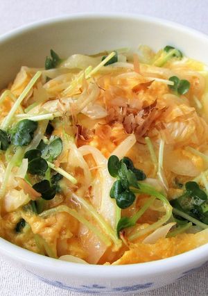 ポン酢で新玉ねぎとカイワレのたまご丼-レシピのメイン写真