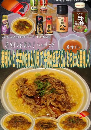 美味ドレ牛丼のたれ＆八味牛肉かき玉うどん-レシピのメイン写真