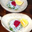 釜揚げしらすと胡瓜の酢の物 梅肉添え