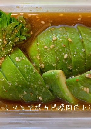 シソとアボカド焼肉だれ漬け-レシピのメイン写真