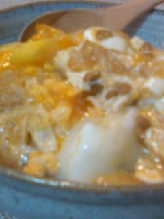 油揚げと納豆の「まめまめ兄弟丼」-レシピのメイン写真