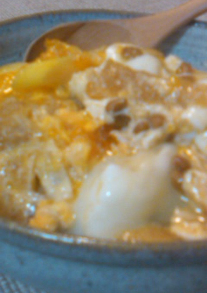 油揚げと納豆の「まめまめ兄弟丼」-レシピのメイン写真