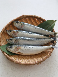 いわしの手開き 和食の基本-レシピのメイン写真