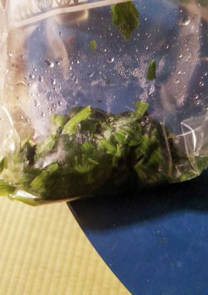 ほうれん草のおひたし-レシピのメイン写真