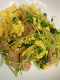 豆苗とウィンナーの卵炒め-レシピのメイン写真