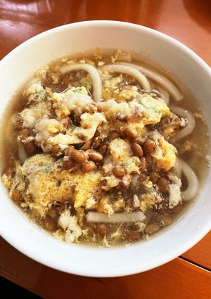 好きな具で♫茅の舎の優しいうどん風邪下痢-レシピのメイン写真