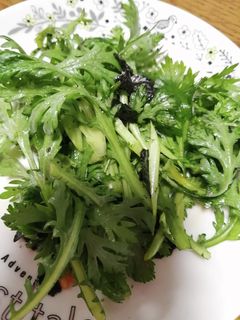 生春菊のサラダ-レシピのメイン写真