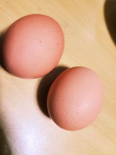 茹で卵-レシピのメイン写真