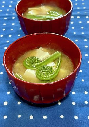 豆腐とこごみのお味噌汁-レシピのメイン写真