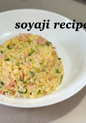 ハムと長ネギのパラパラ炒飯-レシピのメイン写真