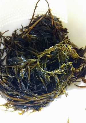 海藻茹で方-レシピのメイン写真