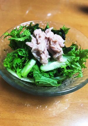 ♪パパッとわさび菜サラダ♪-レシピのメイン写真