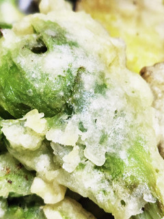 お年寄り絶賛シリーズ☆ふきのとう天麩羅☆-レシピのメイン写真