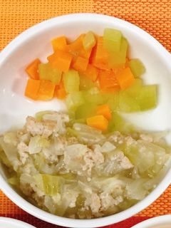 離乳食☆きゃべつと鶏ひき肉のとろとろ煮-レシピのメイン写真