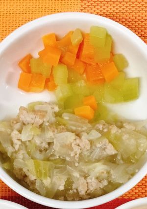 離乳食☆きゃべつと鶏ひき肉のとろとろ煮-レシピのメイン写真