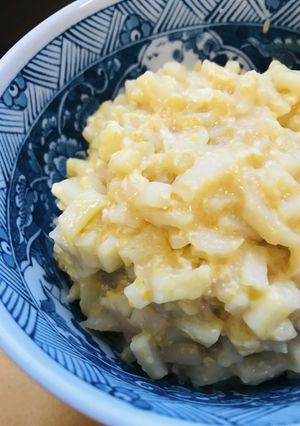 食事制限●消化に良いぶつ切り煮込みうどん-レシピのメイン写真