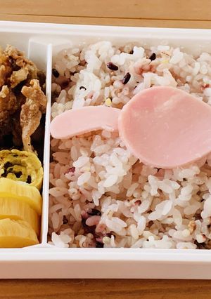 猫まんま弁当-レシピのメイン写真