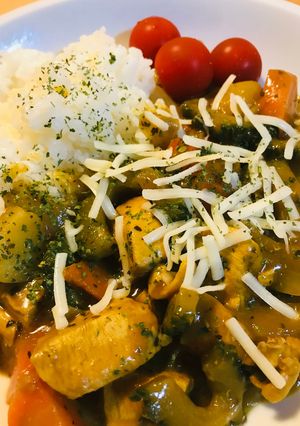バーモントカレー●ゴーヤーチーズカレー-レシピのメイン写真