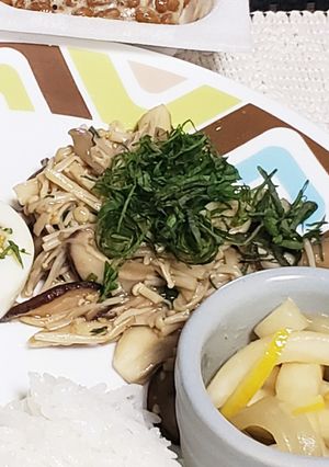 キノコのさっぱりソテー【常備菜にも♪】-レシピのメイン写真