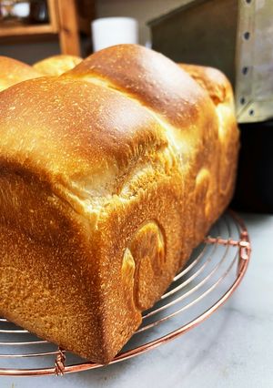 白神こだま酵母のミルク食パン-レシピのメイン写真