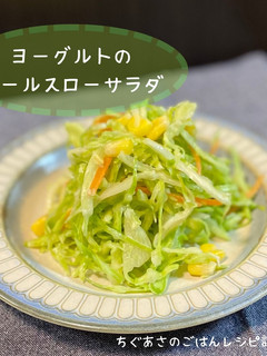 花粉症対策!ヨーグルトコールスローサラダ-レシピのメイン写真