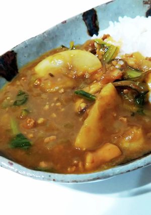 鰹節香る♪かぶとひき肉の簡単和風カレー-レシピのメイン写真