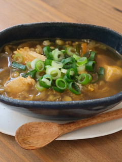 【冷えの薬膳】和な薬膳スープカレー-レシピのメイン写真