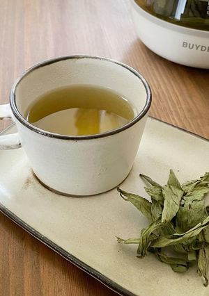 【花粉症の薬膳】野生甜茶-レシピのメイン写真