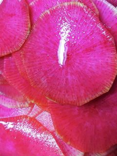 紅芯大根酢-レシピのメイン写真