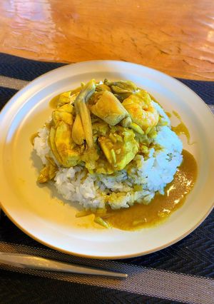 日本最初のカレーライス(カエルカレー)-レシピのメイン写真