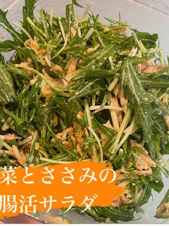 水菜とささみの腸活サラダ-レシピのメイン写真