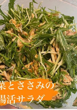 水菜とささみの腸活サラダ-レシピのメイン写真